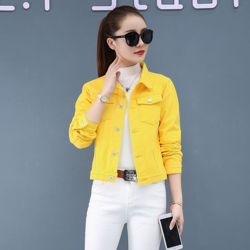 Jacket in Denim Fabric